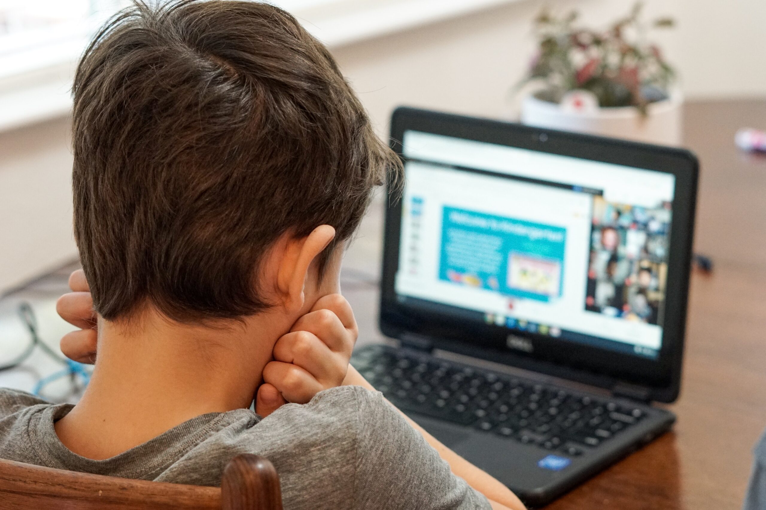 Kindergarten boy looking at laptop computer during first day of virtual learning online school.